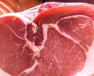 Animal Tissue