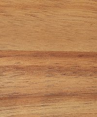 未标题-1_0000_ScreenShot_2026-03-26_110600_309