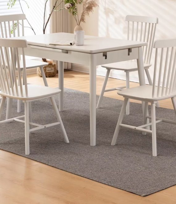 未标题-1_0007_dining chair (7)
