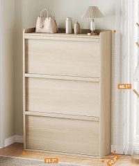 未标题-1_0004_shoe cabinet (2)