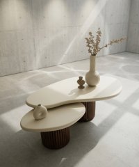 coffee table (5)