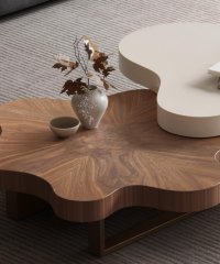 coffee table (5)