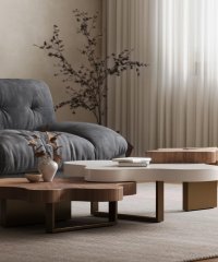 coffee table (1)