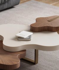 coffee table (7)