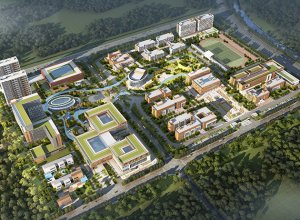 steel structure school building with large capacity