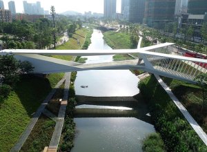 Bridge over the river