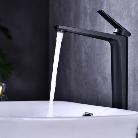 LF1001 Black Faucet