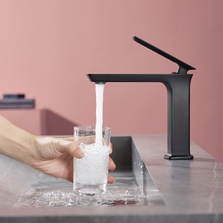 LF1002 Black Faucet