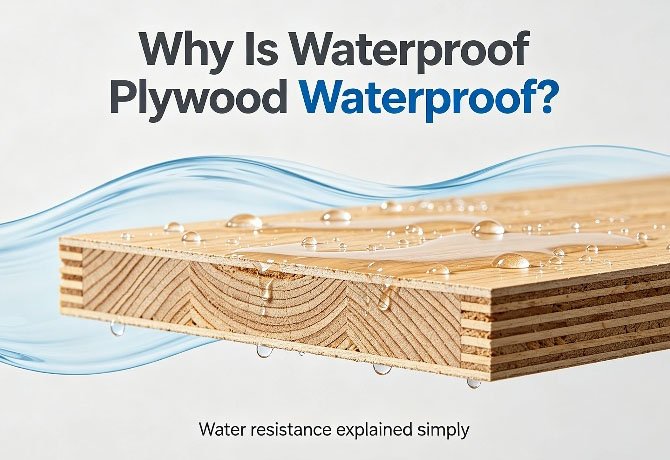 Is Waterproof Plywood Really Waterproof? Performance and Buying Guide