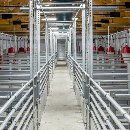 Steel Structure Poultry House