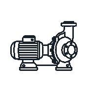 Transfer Pump