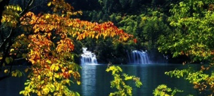 We are Approaching Our National Holiday – Important Notice