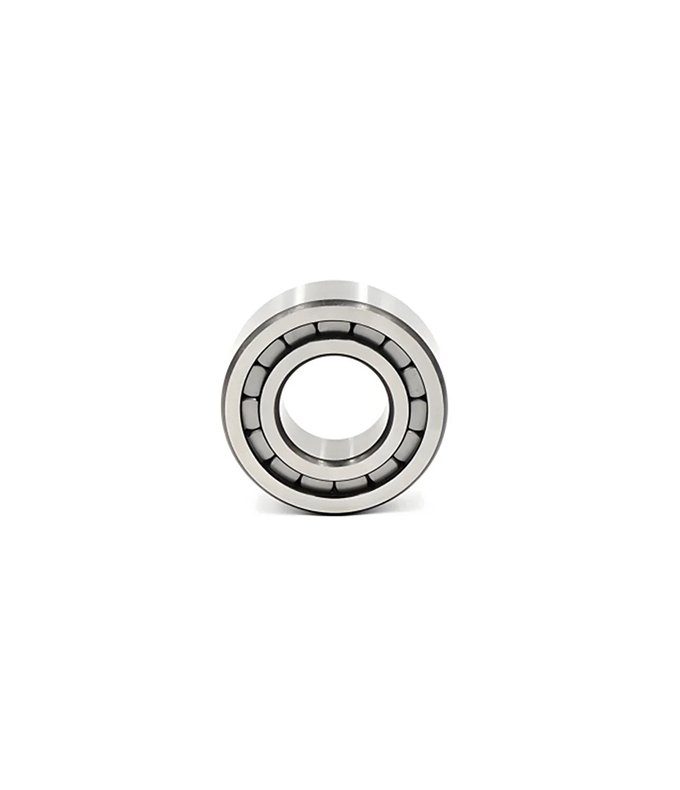 Cylindrical Roller Bearing