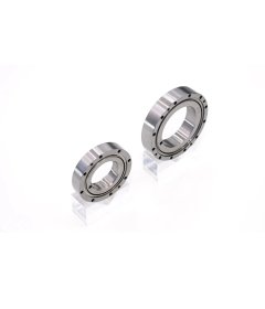 Cross-shaped roller bearing