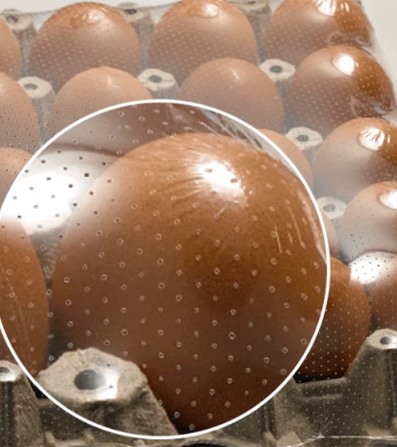 Eggs film