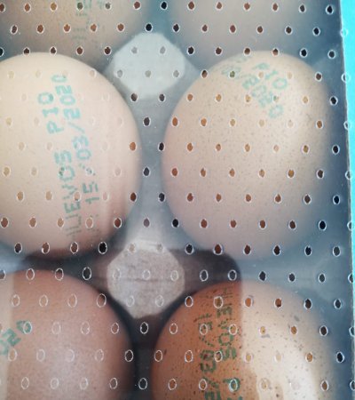 Center Folded Macro Perforated Film