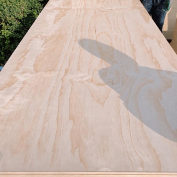 Pine Plywood