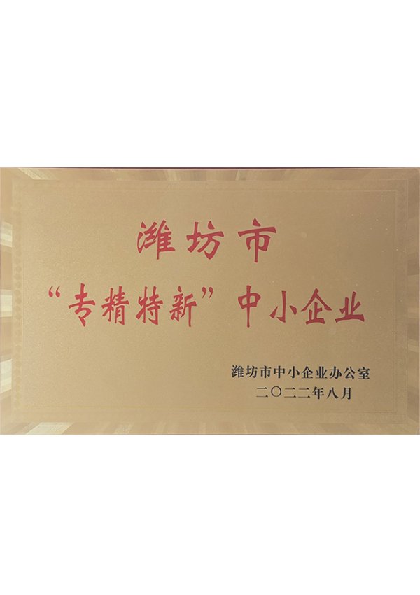 Specialized, Refined and Innovative - Small and Medium Enterprises