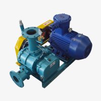WSRV Roots Blower 