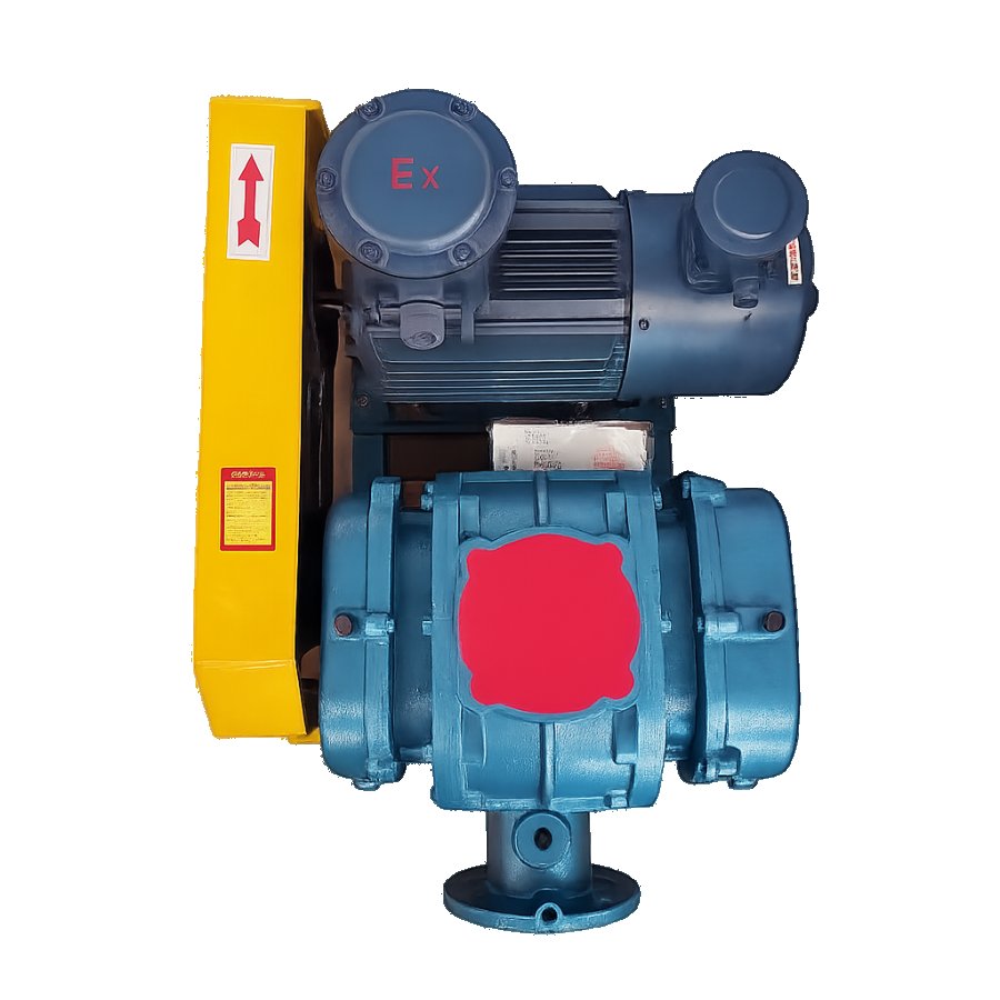 WSRH Roots Blower 