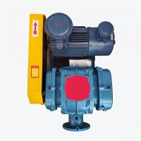 WSRH Roots Blower 