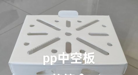 PP Plastic Vegetable 