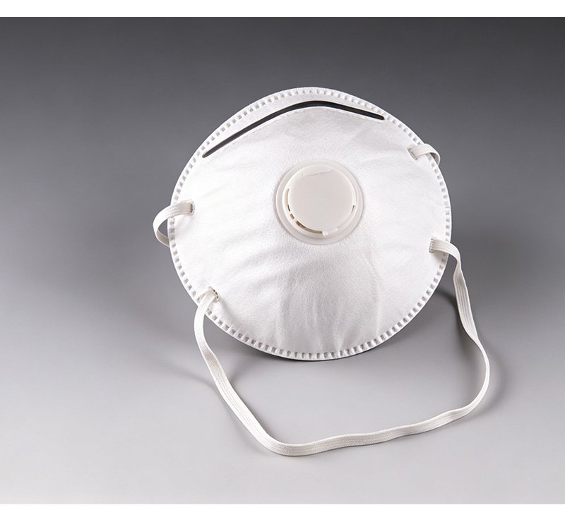 N95 Dust Mask