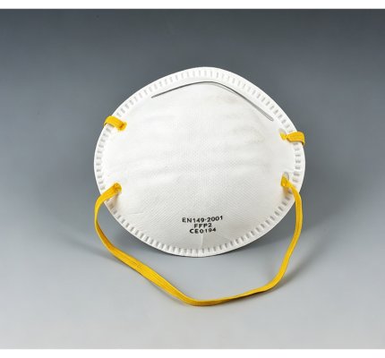 N95 Dust Mask