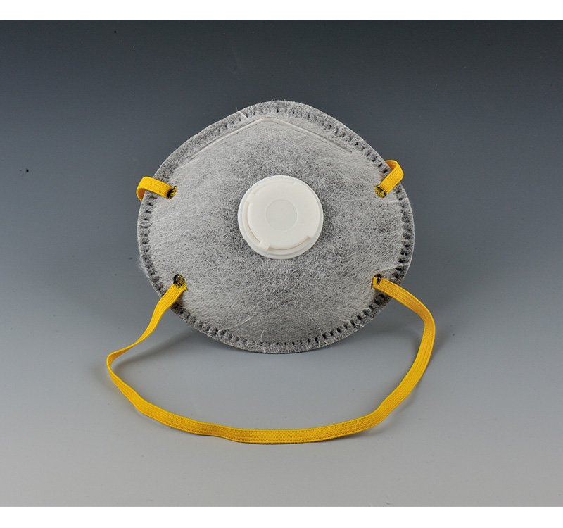 N95 Dust Mask
