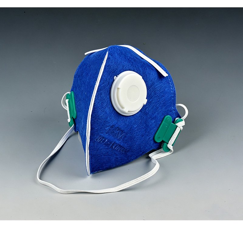 N95 Dust Mask