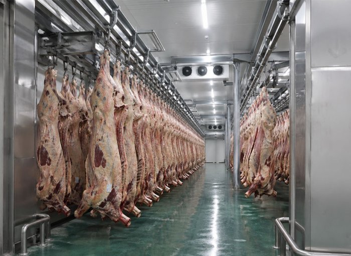 Low-Temperature Aging Room (Warehouse)