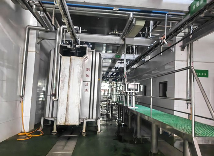 Carcass Washing Machine