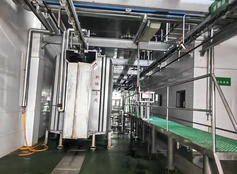 Carcass Washing Machine