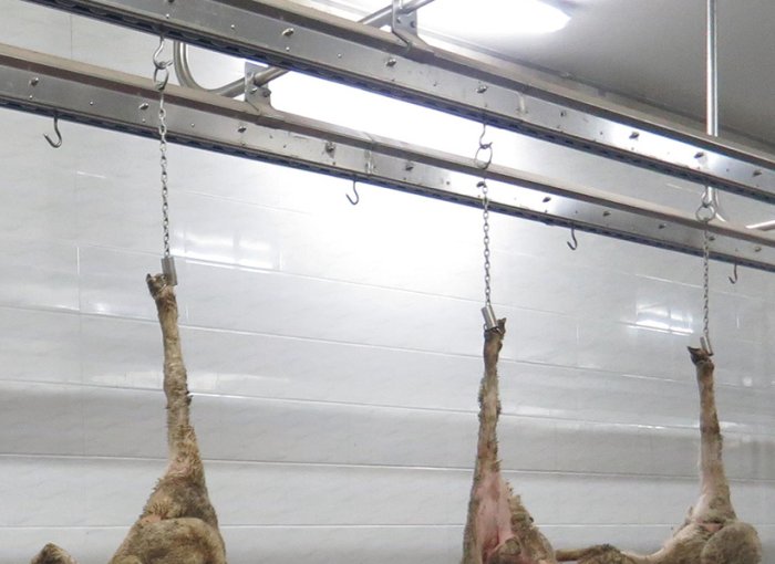 Bleeding Hanging Conveyor