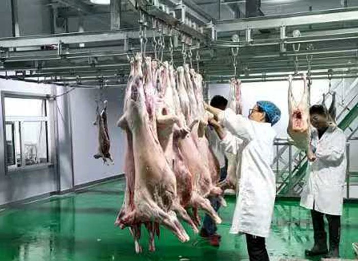 Skinning Conveyor