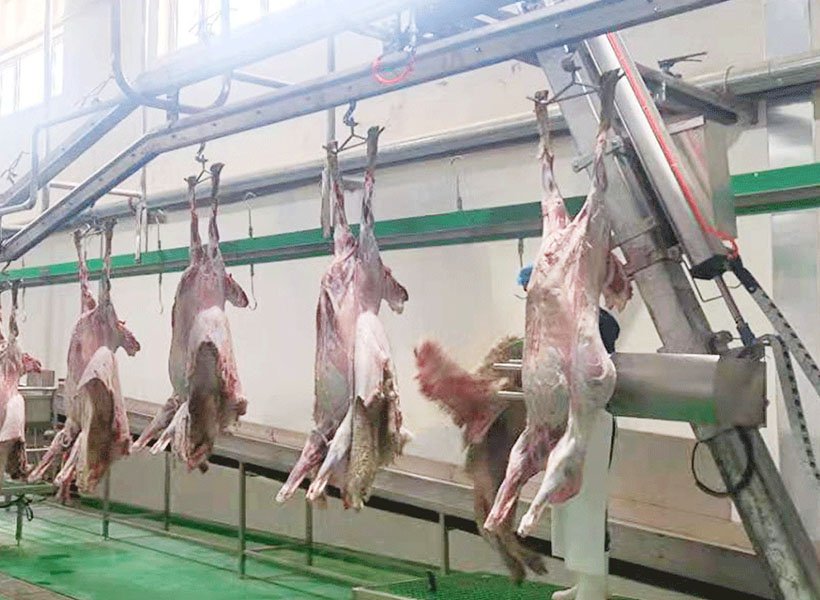 Lamb Skinning Machine