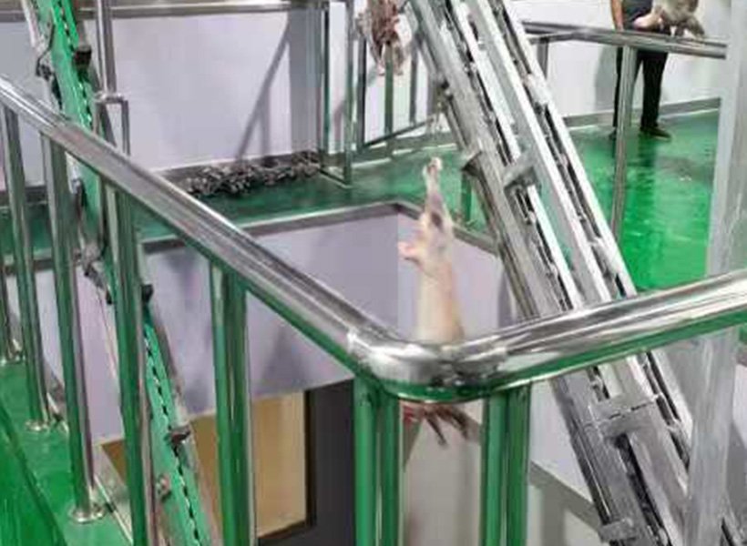 Lifting Hoist