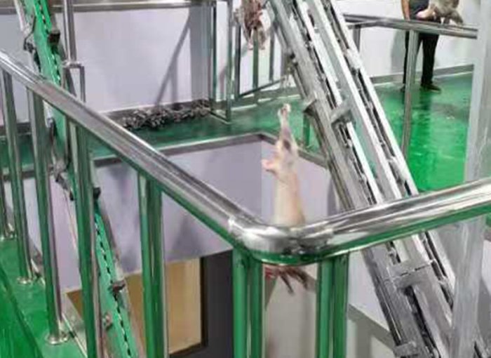 Lifting Hoist