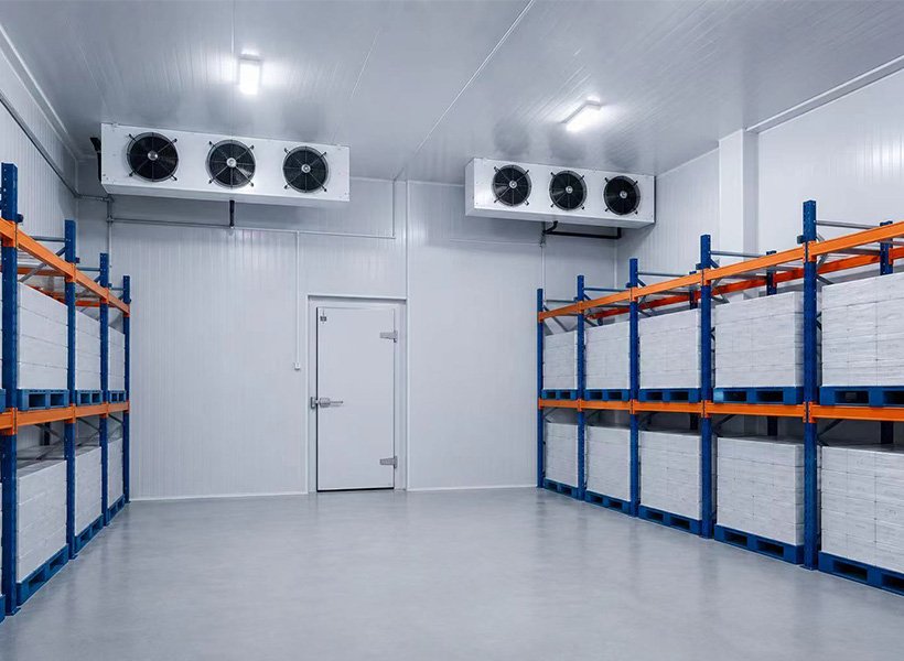Low-Temperature Freezer