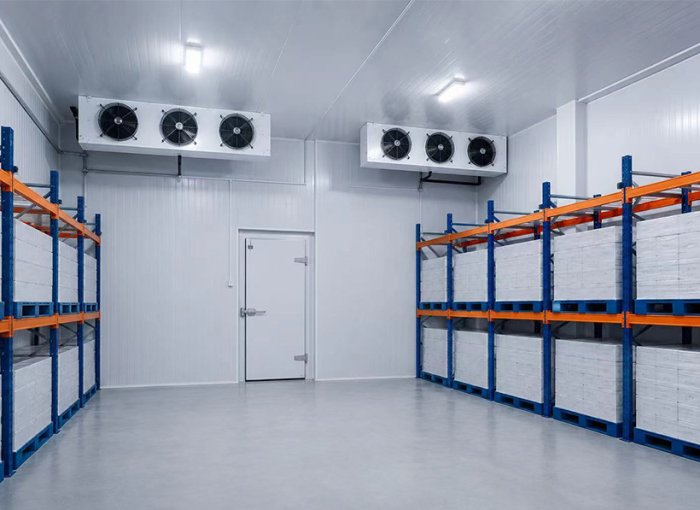Low-Temperature Freezer