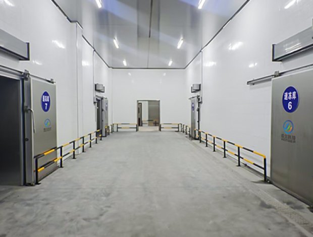 Cold Storage Auxiliary