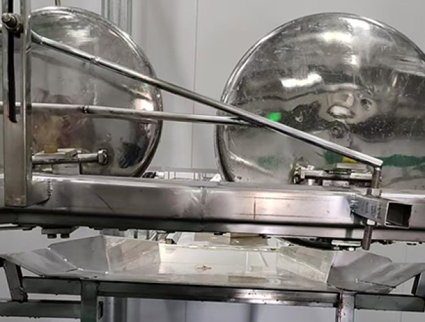 Synchronous Health Inspection