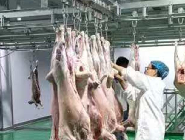 Skinning & Peeling