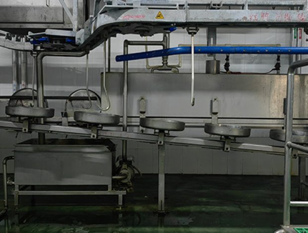 Synchronous Health Inspection