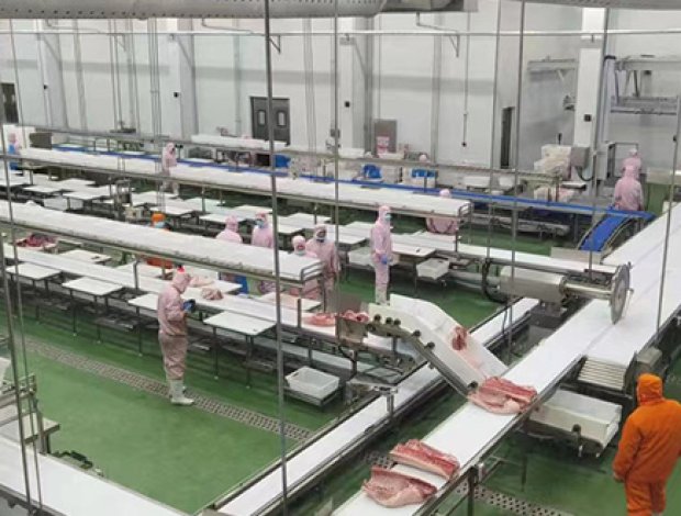 Cutting Processing Equipment