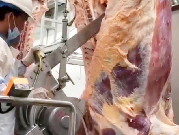 Carcass Trimming Equipment