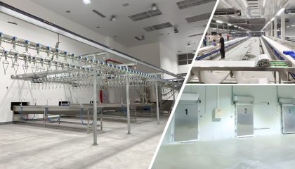 Turnkey Slaughterhouse Solutions: From Site Planning to Commissioning for New Meat Processing Facilities