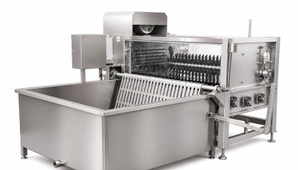 Scalding and Dehairing Line Design for Pig Slaughter: Integrated Machine Selection and Temperature Control