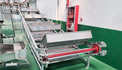 White Viscera Synchronous Inspection Equipment: Ensuring Traceability in Modern Slaughter Lines
