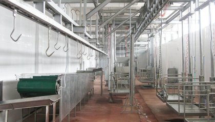 How to Plan Slaughter Line Capacity: Equipment Configuration Guide for Small to Industrial-Scale Plants